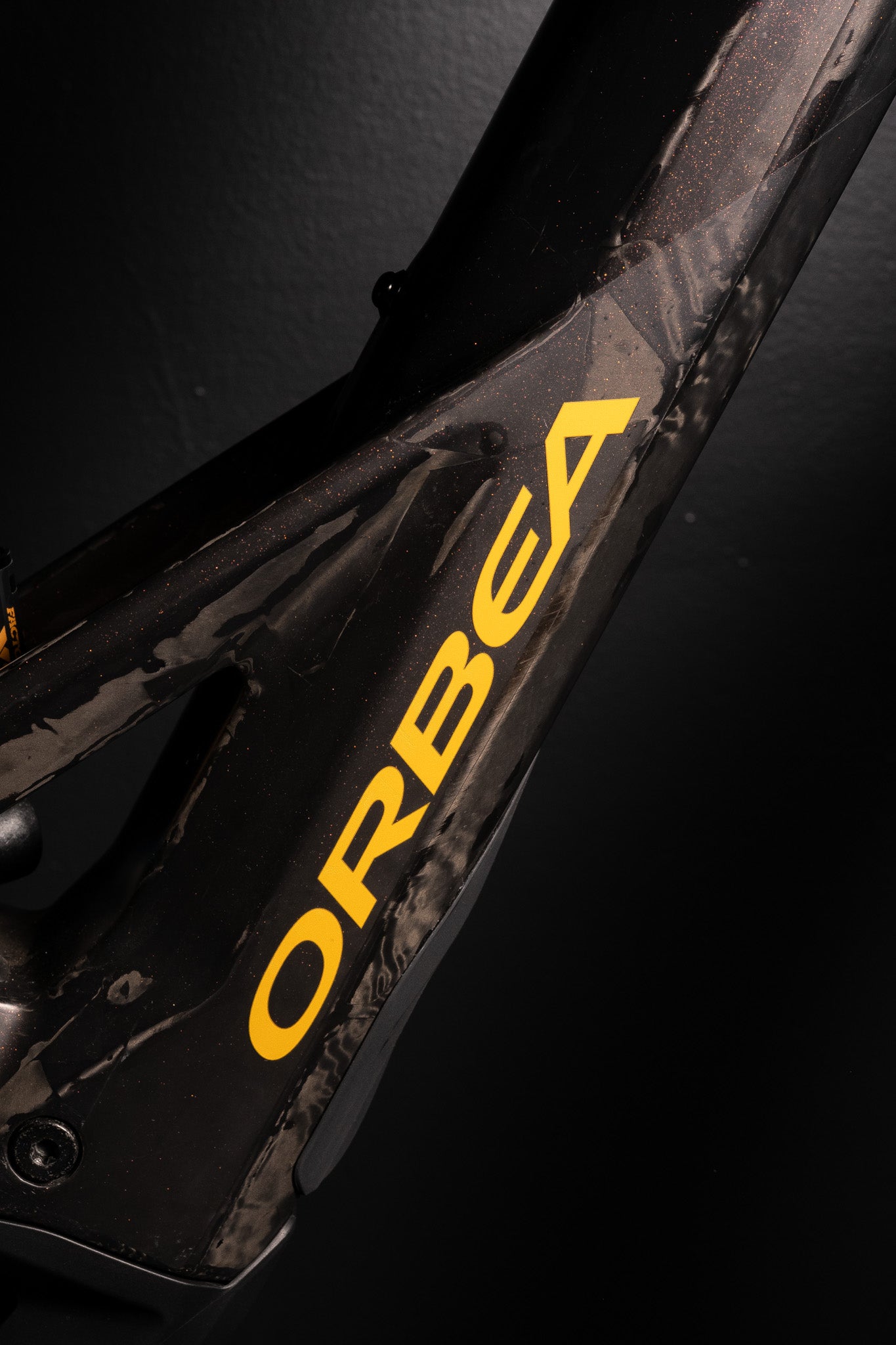 ORBEA  Wild M-LTD  RACE E-MTB