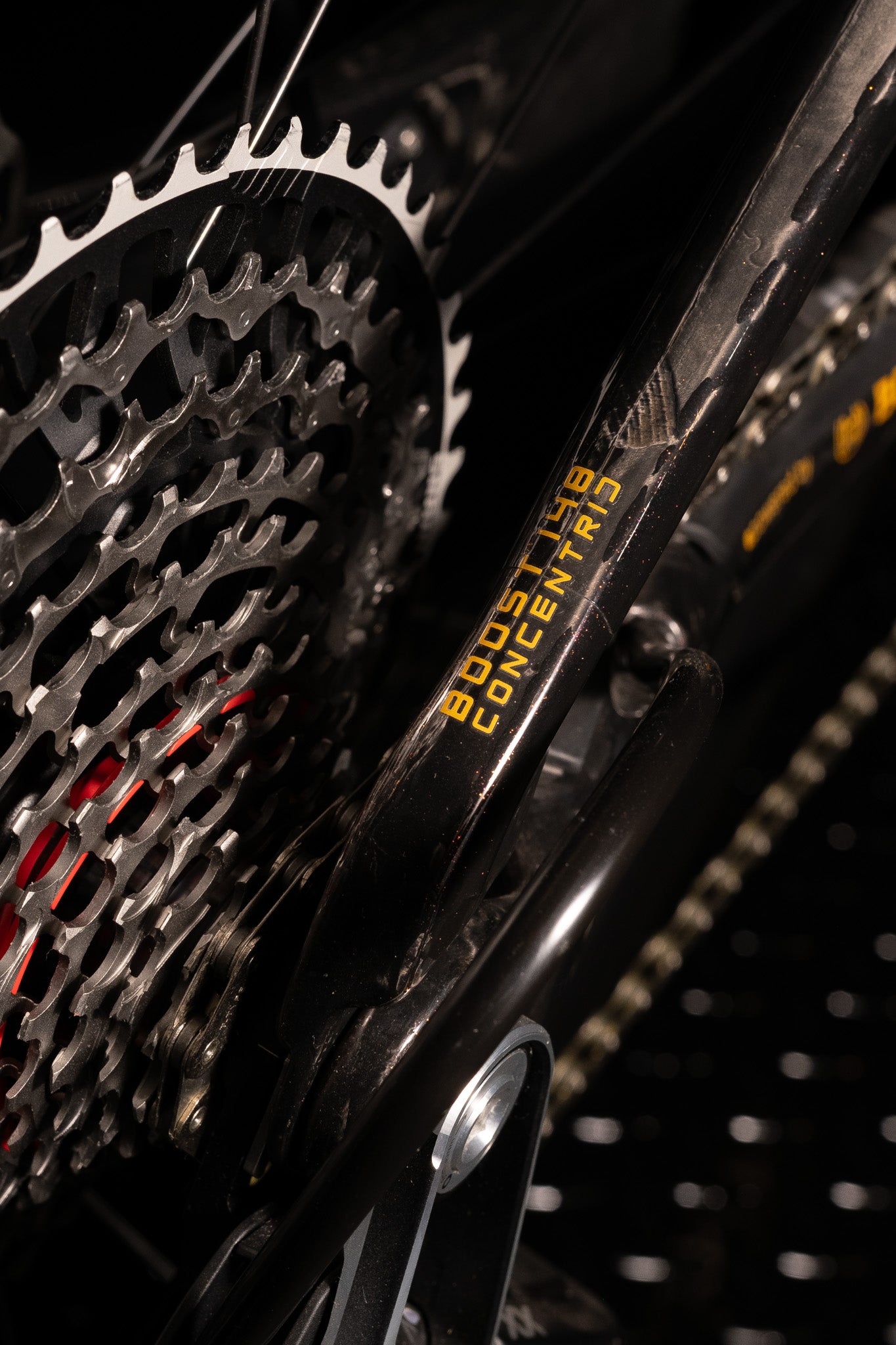ORBEA  Wild M-LTD  RACE E-MTB
