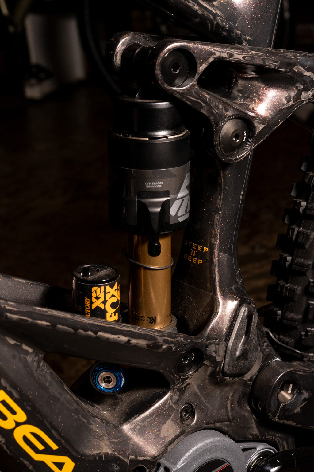 ORBEA  Wild M-LTD  RACE E-MTB