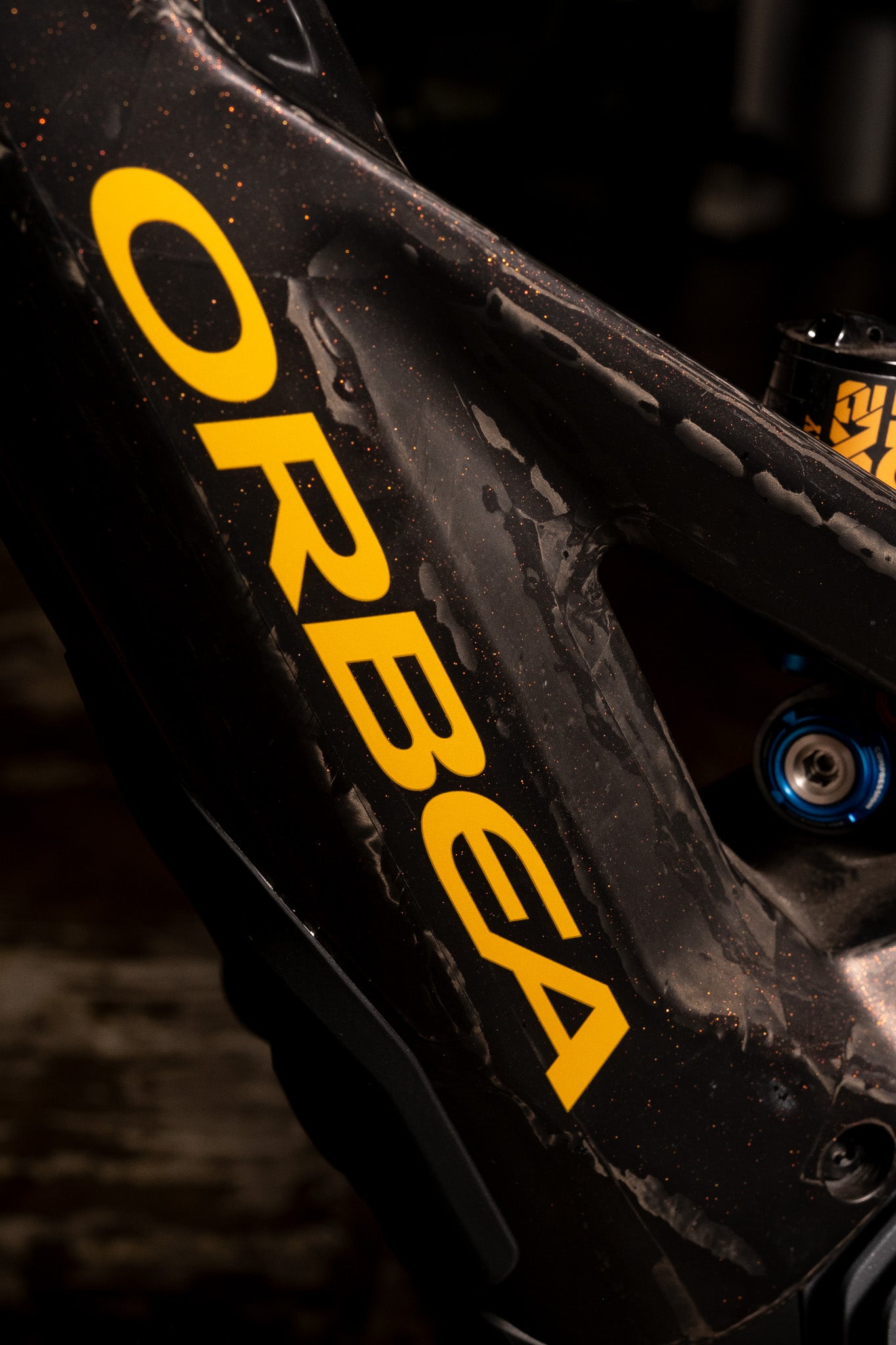 ORBEA  Wild M-LTD  RACE E-MTB