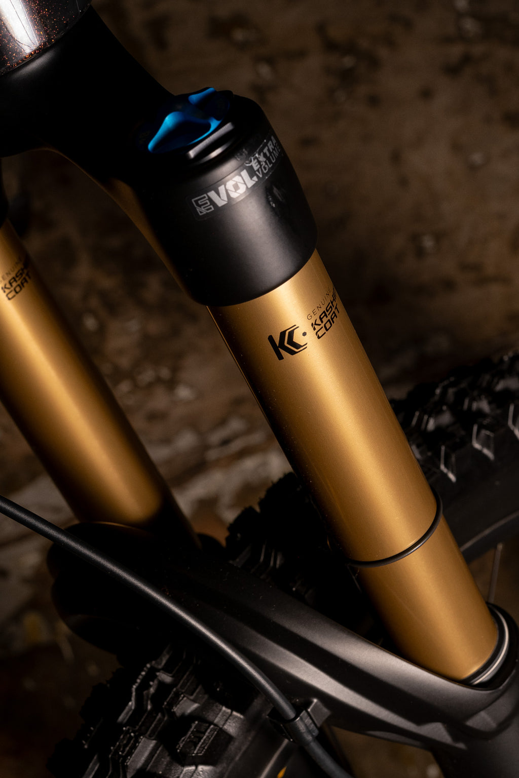 ORBEA  Wild M-LTD  RACE E-MTB