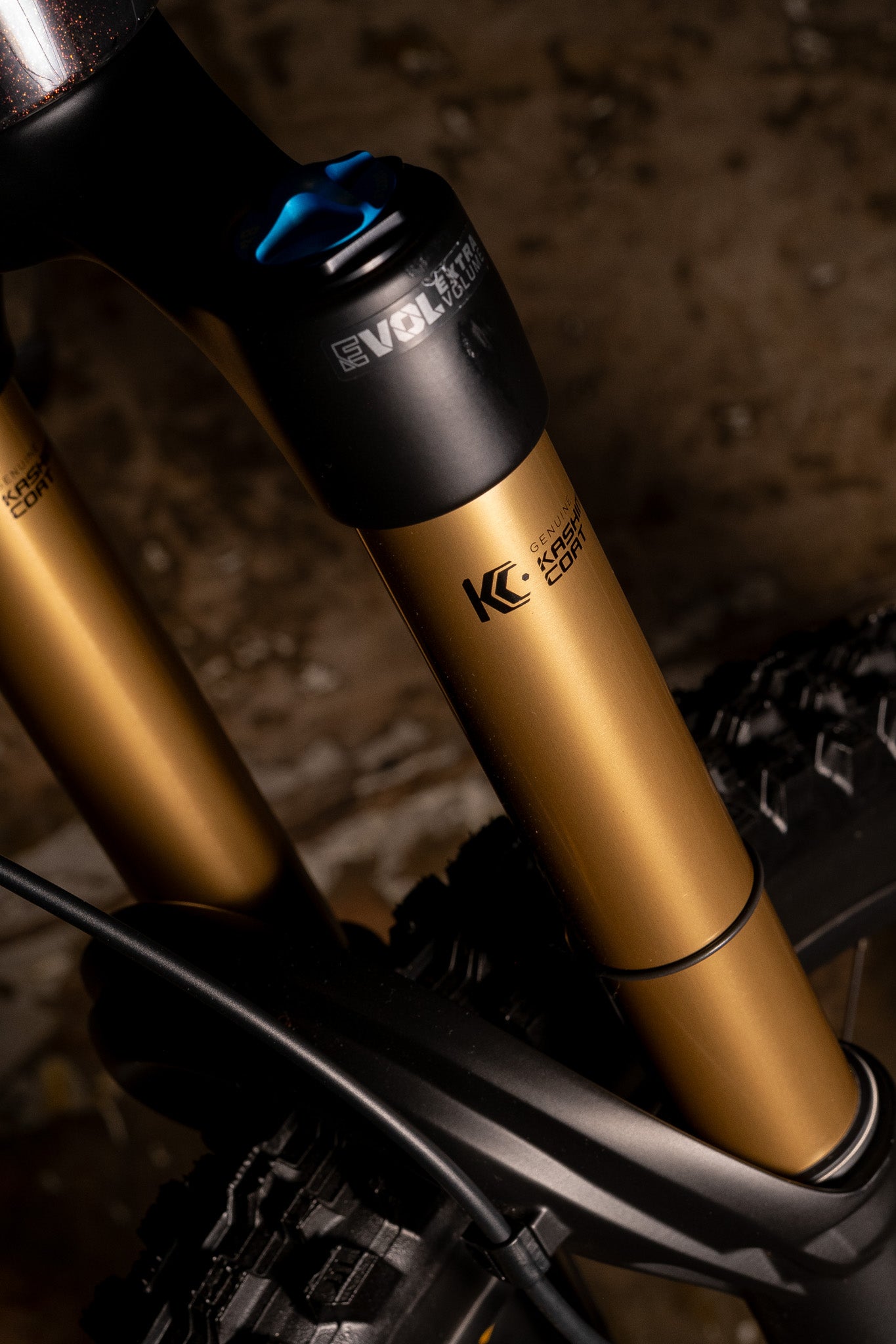 ORBEA  Wild M-LTD  RACE E-MTB