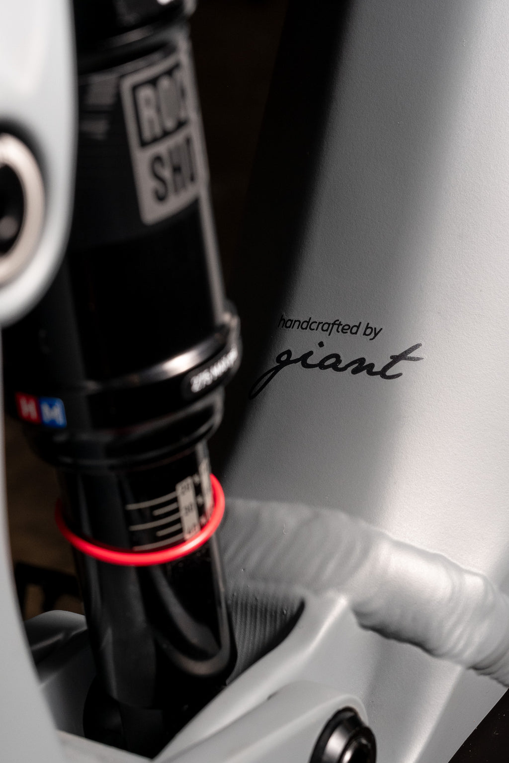 Giant Liv Embolden e+2 e-MTB