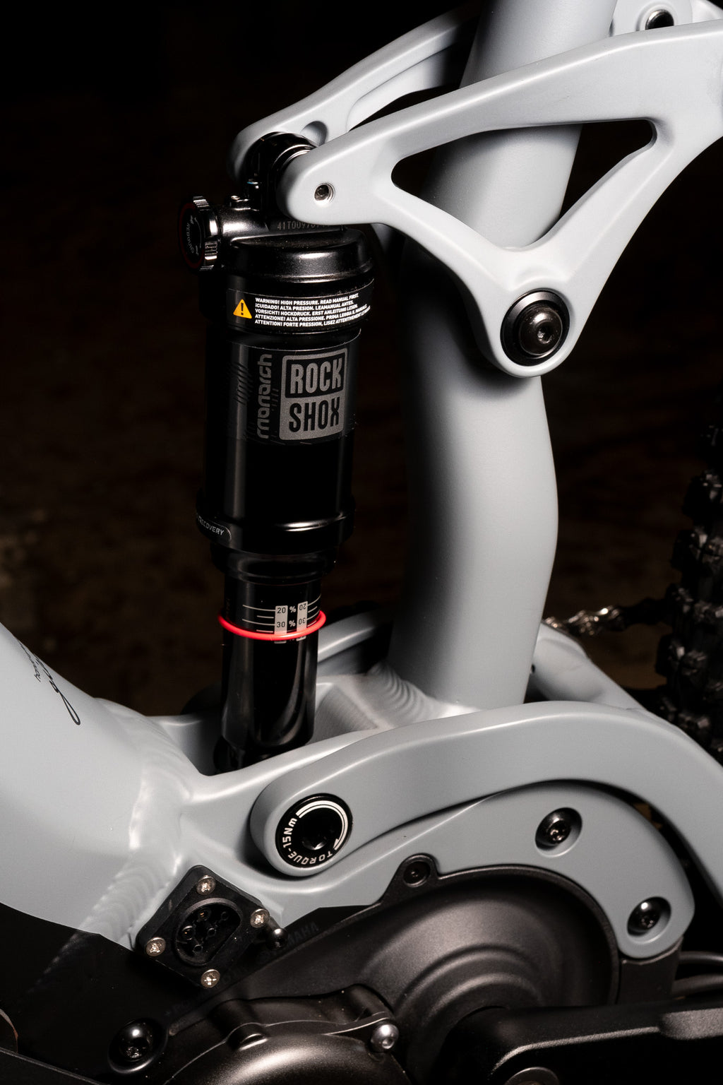 Giant Liv Embolden e+2 e-MTB