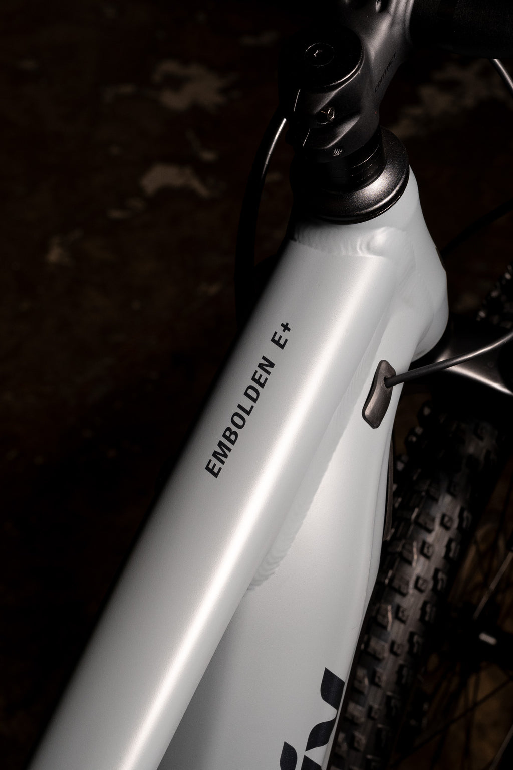 Giant Liv Embolden e+2 e-MTB