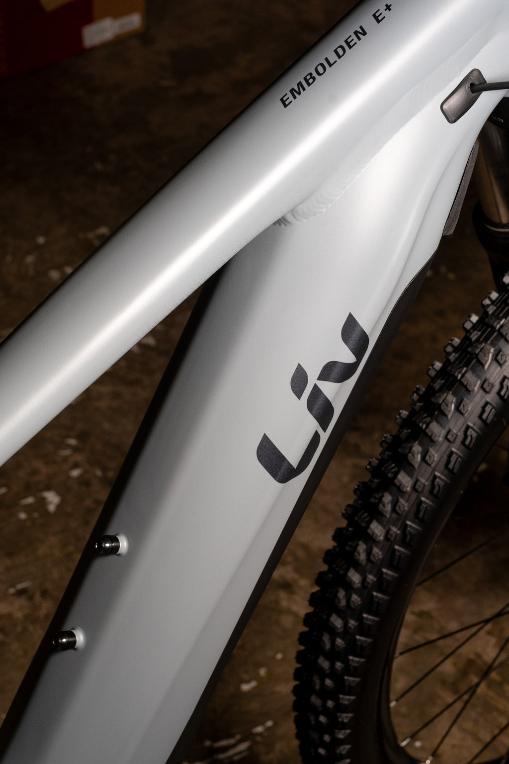 Giant Liv Embolden e+2 e-MTB