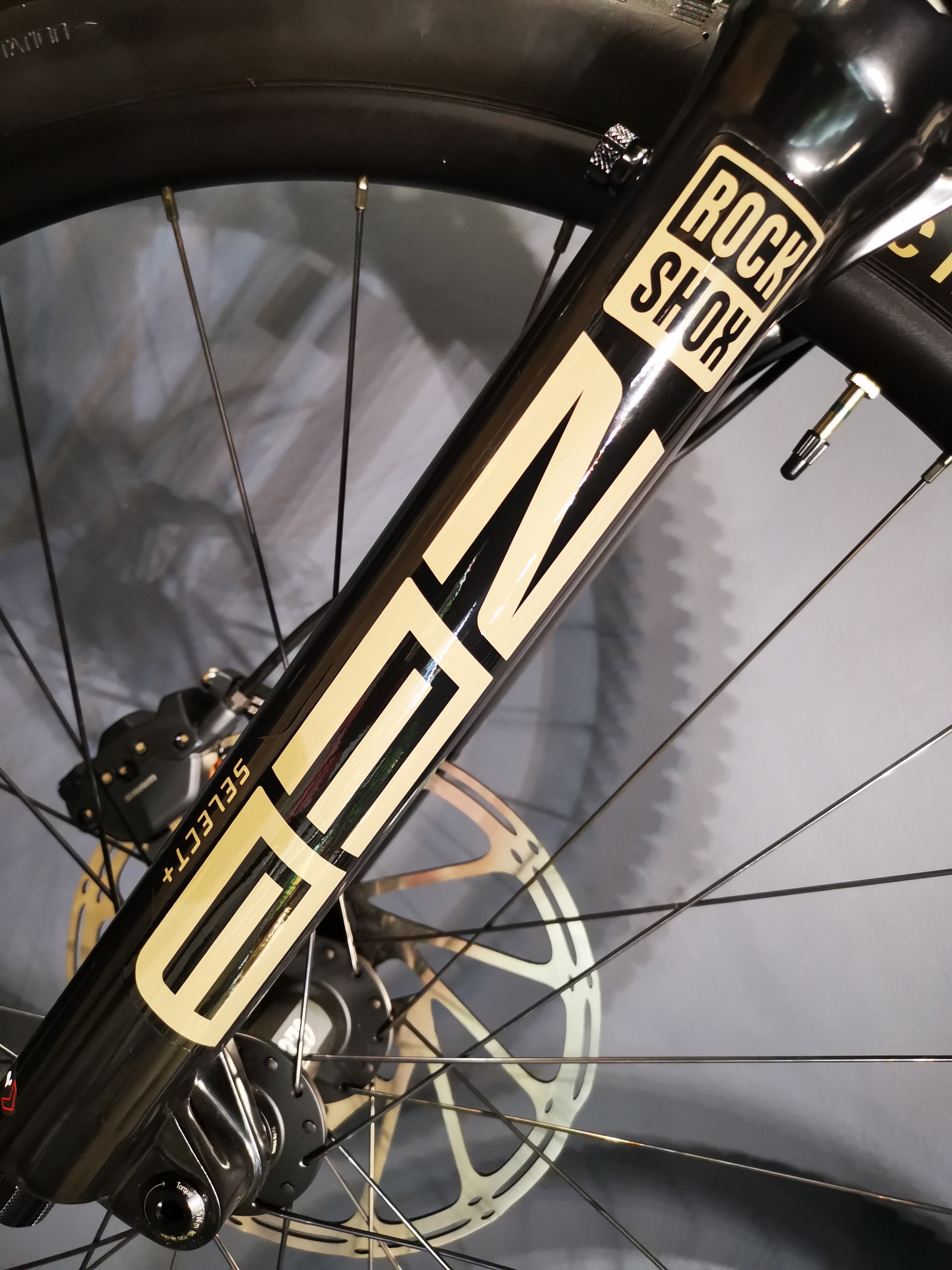 Specialized Turbo Levo Expert carbón