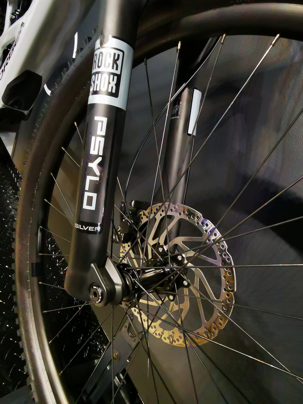 Orbea Wild ST H30 Silver E-MTB