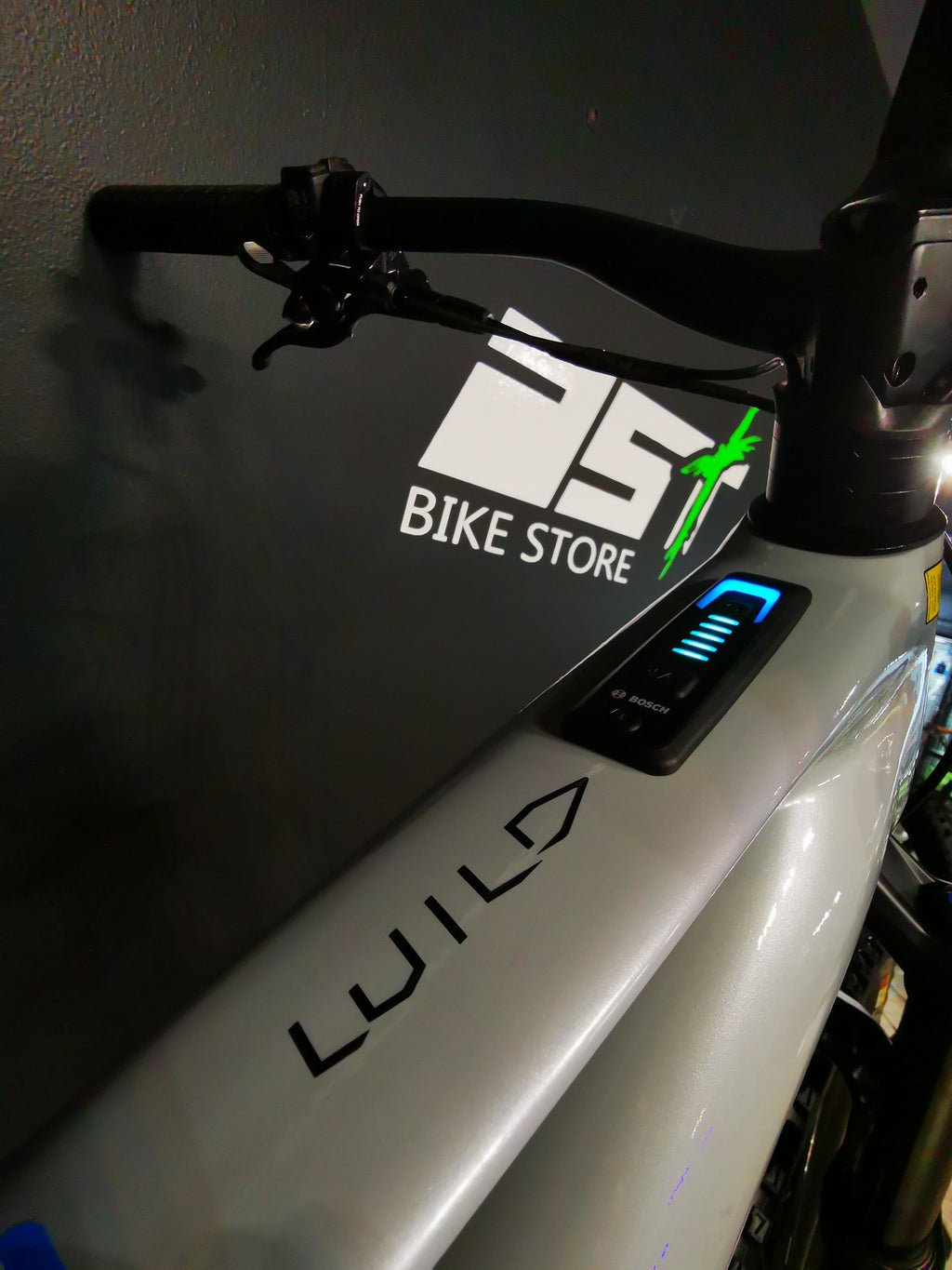 Orbea Wild ST H30 Silver E-MTB