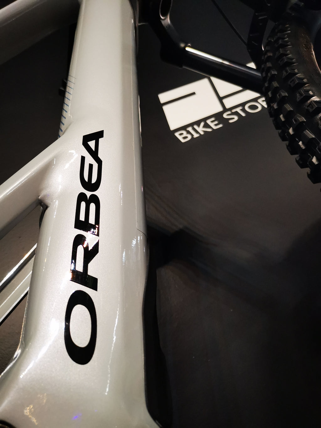 Orbea Wild ST H30 Silver E-MTB