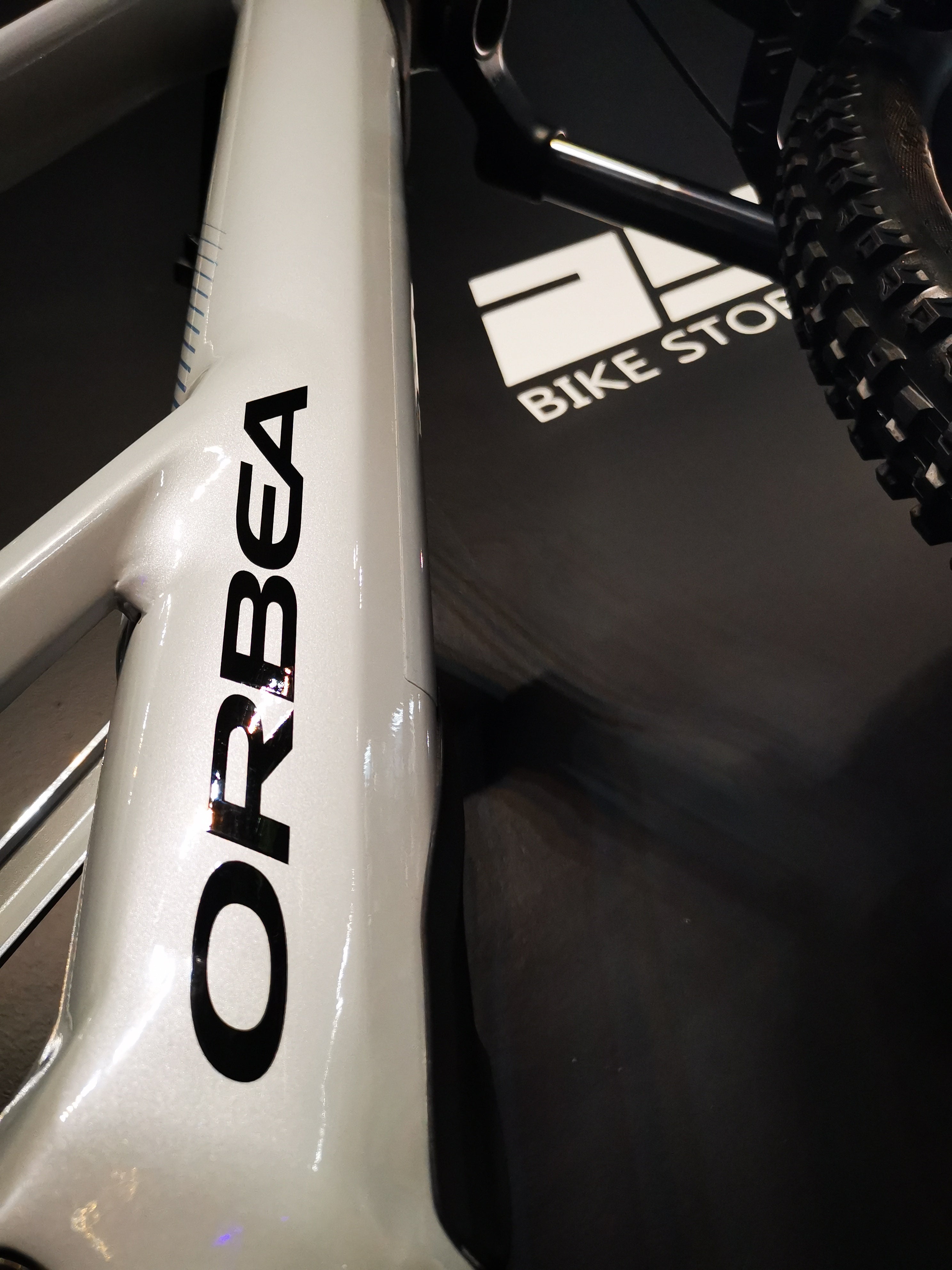 Orbea Wild ST H30 Silver E-MTB