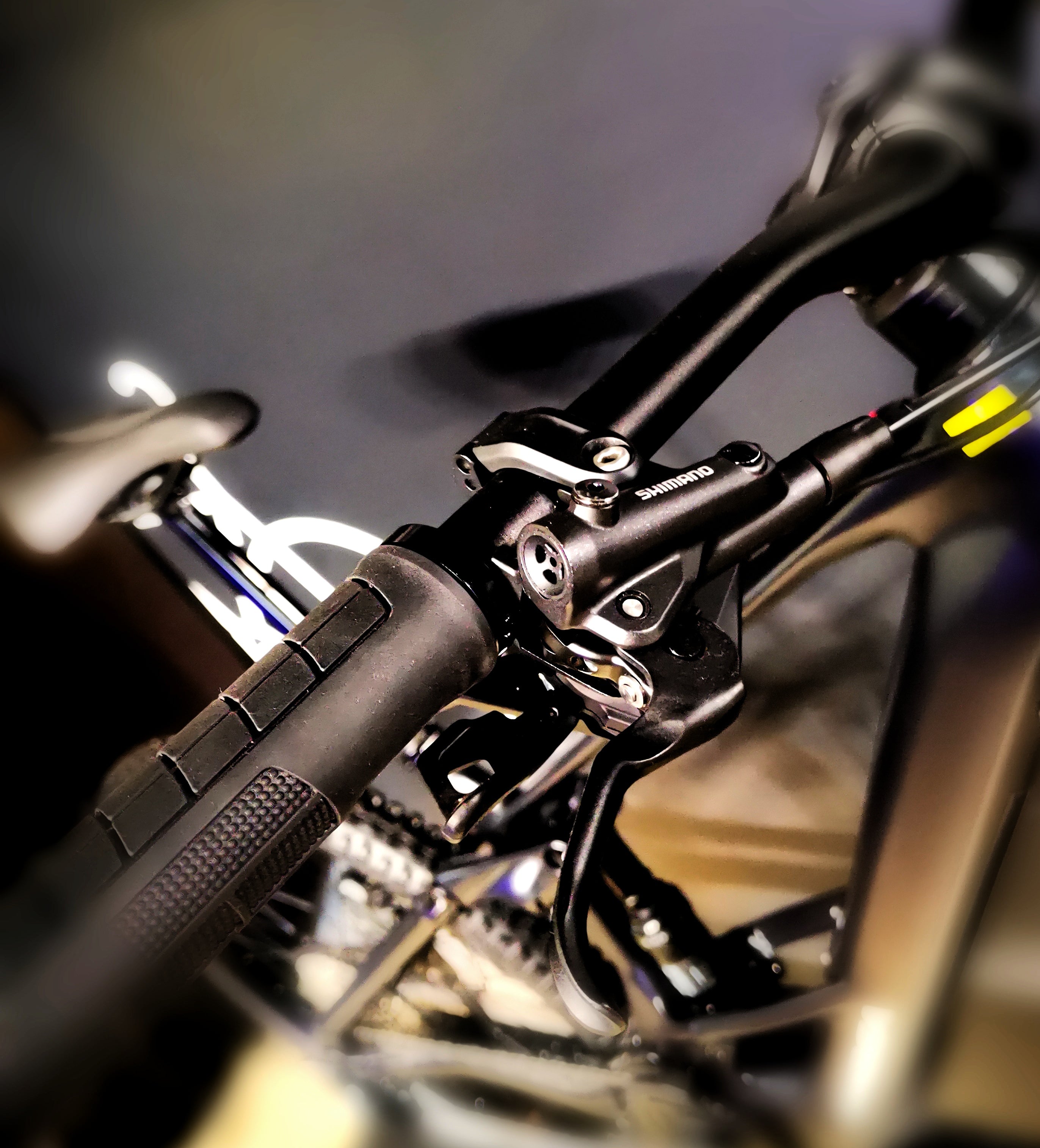 Orbea Wild ST H20 E-MTB