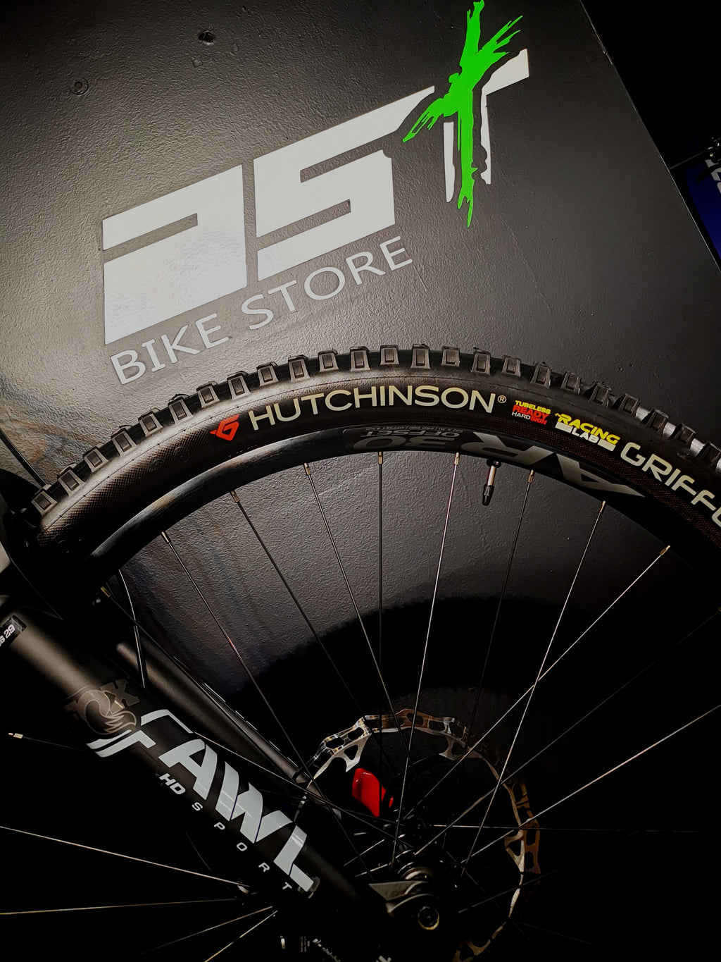 Orbea Wild ST H20 E-MTB