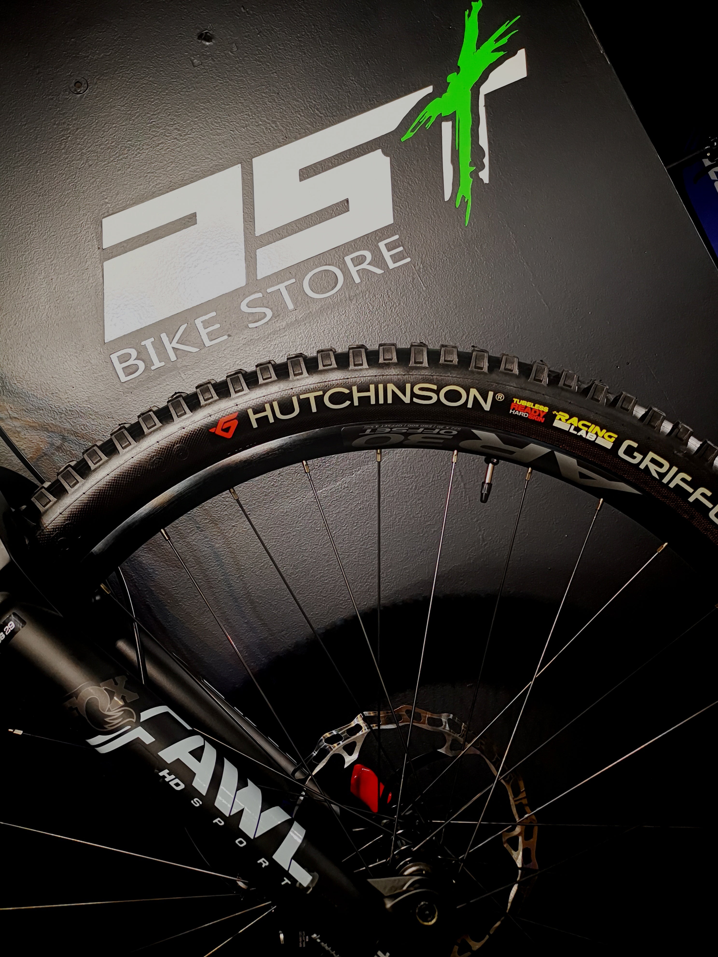 Orbea Wild ST H20 E-MTB
