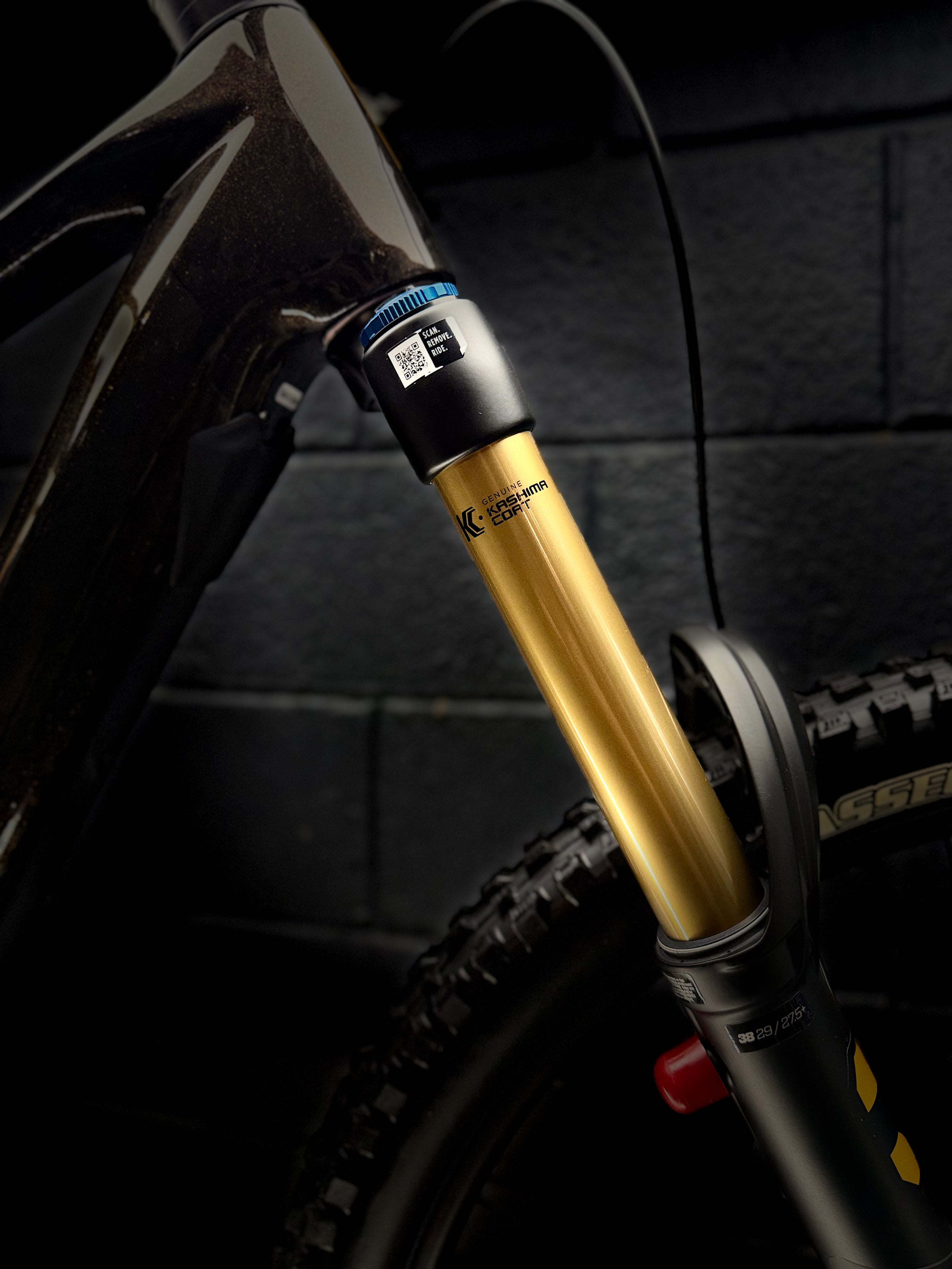 ORBEA  Wild M-LTD  RACE