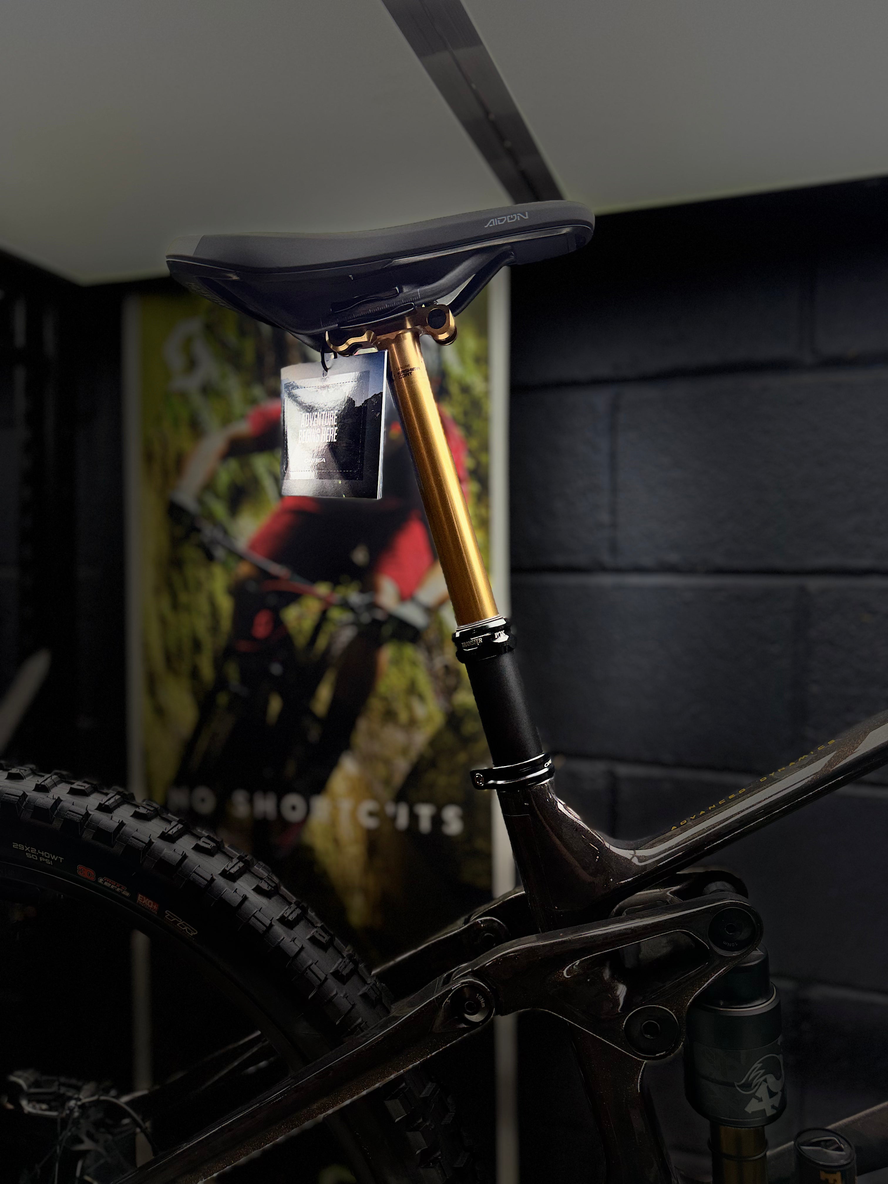 ORBEA  Wild M-LTD  RACE