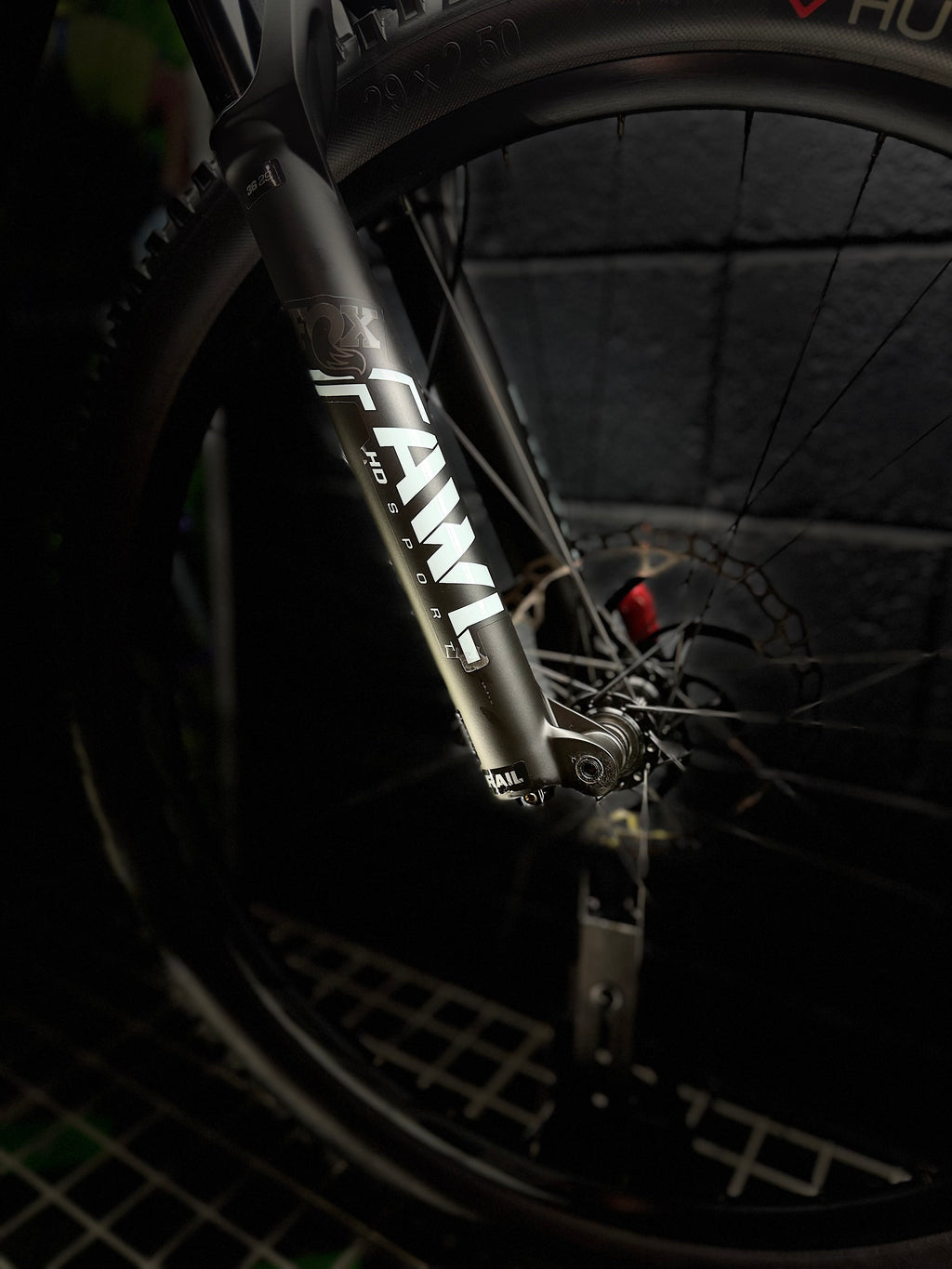 Orbea Wild ST H20 E-MTB