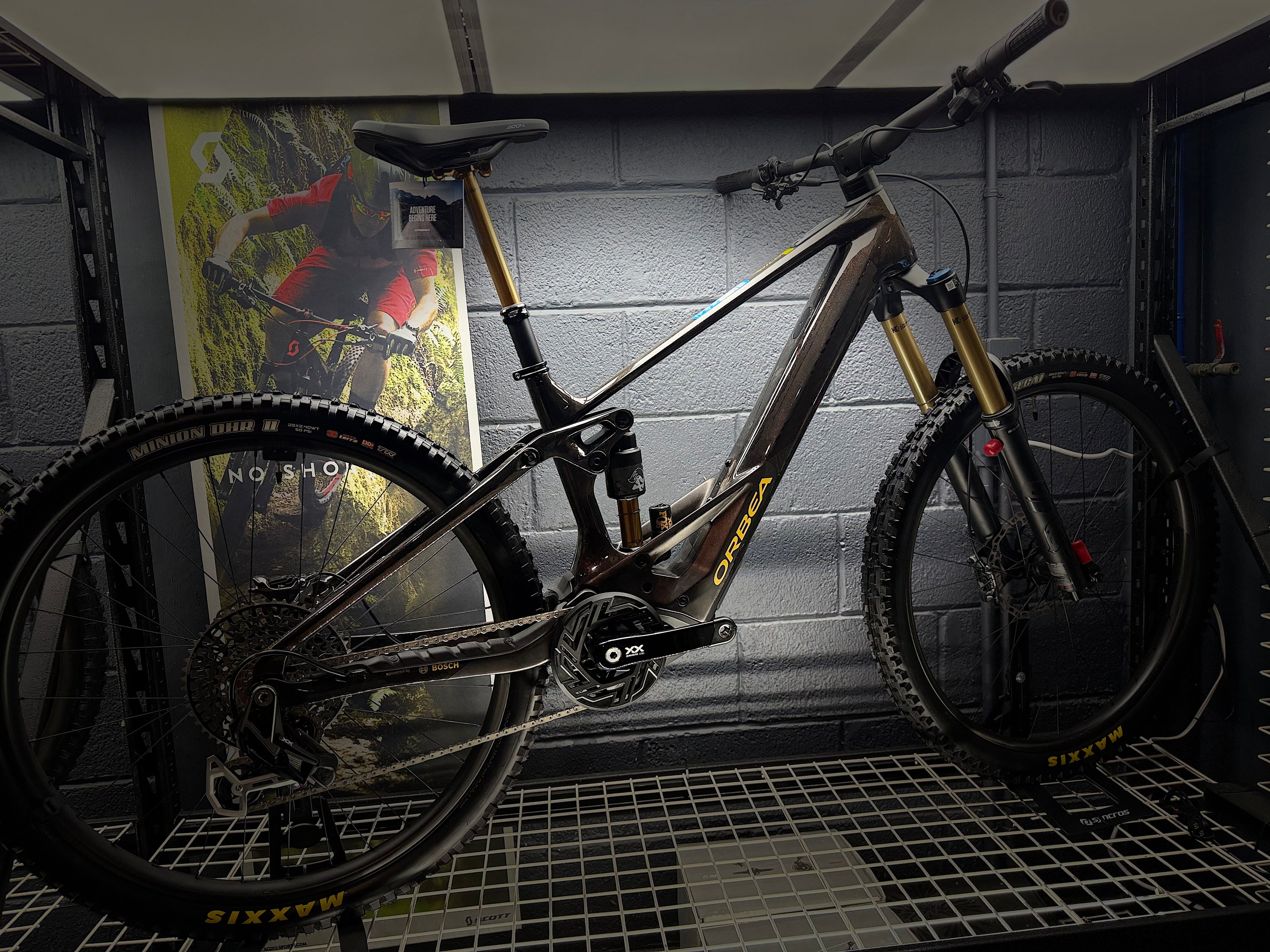 ORBEA  Wild M-LTD  RACE